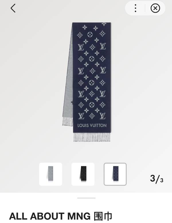 Louis Vuitton Scarf LVC00471